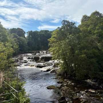 Join me on the All Creatures Great and Small from Windermere Tour.