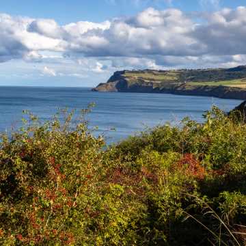 Private Robin Hoods Bay, Whitby & the Moors