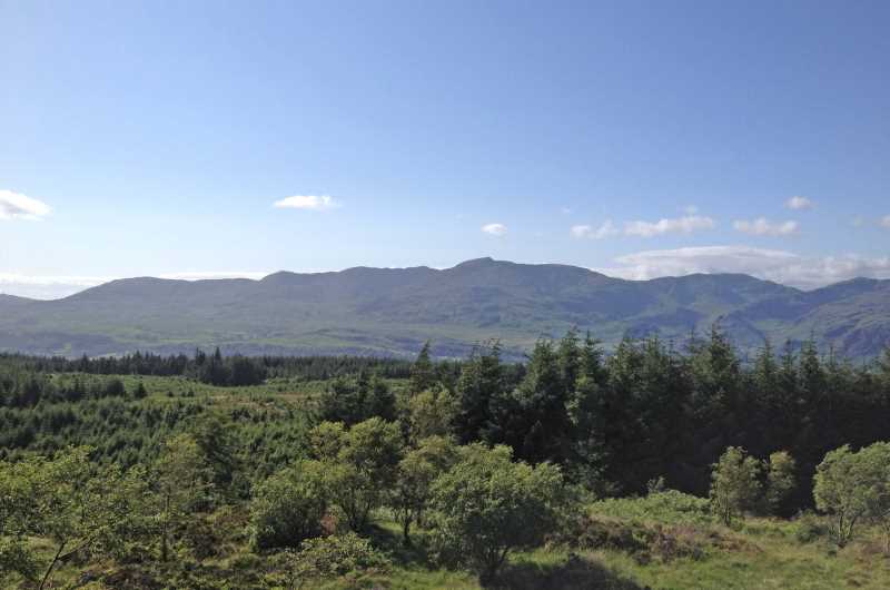 Grizedale Forest large image