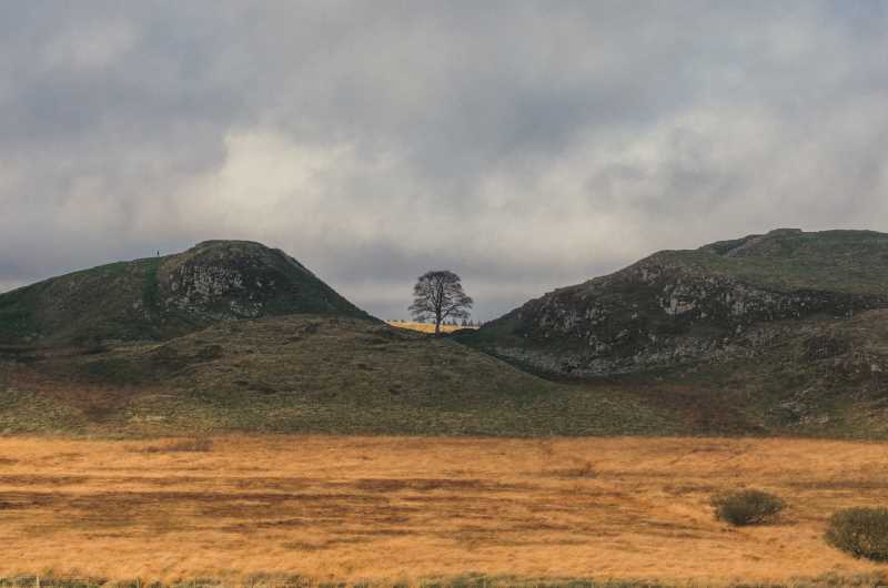 Sycamore Gap large image